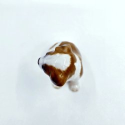 B &amp; G Figur Sankt Bernhardshund. sortering 1