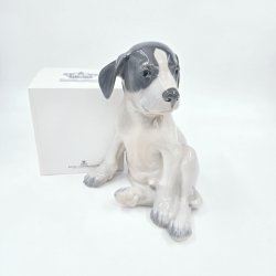 Royal Copenhagen Figur Pointer Hvalp nr. 259. sortering 1 