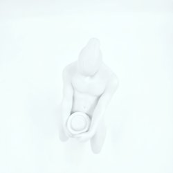 Royal Copenhagen Stjernetegnsfigur Vandmanden 