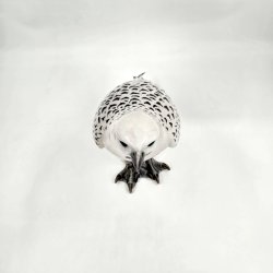 Royal Copenhagen Figur Islansk Falk nr. 263. sortering 1 