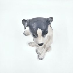 Royal Copenhagen Figur Pointer Hvalp nr. 259. sortering 1 