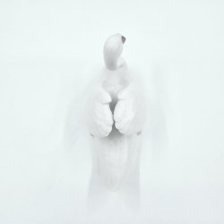 Royal Copenhagen Figur Svane nr. 755. sortering 1