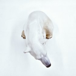 B &amp; G Figurer Isbjrn nr. 1629. Sortering 1 