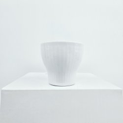  Hvid Riflet ggebgere nr. 697. sortering 1