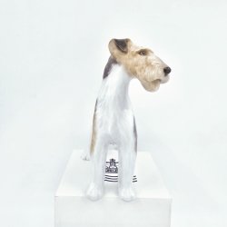 Royal Copenhagen Figur Ruhret Terrier nr. 2967-1462. sortering 1  