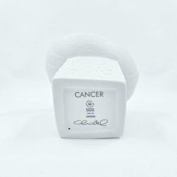 Royal Copenhagen Stjernetegnsfigur Krebsen