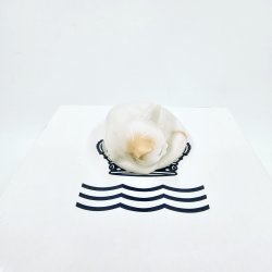 Royal Copenhagen Figur Kat Blanche nr. 678. Sortering 1 