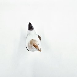 B &amp; G Figur Hne nr. 2193. sortering 1