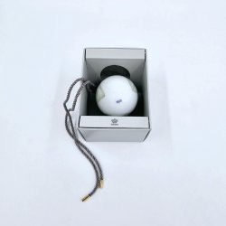 Royal Copenhagen Pskeg Vintergk Blade 2021. Sortering 1 