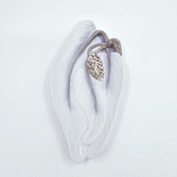 B &amp; G Skl Med kande nr. 1169. Sortering 1