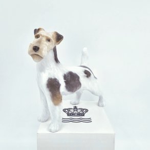 Royal Copenhagen Figur Ruhret Terrier nr. 2967-1462. sortering 1  
