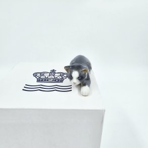 Royal Copenhagen Figur Kat Leo nr. 686. Sortering 1  