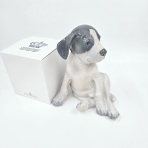 Royal Copenhagen Figur Pointer Hvalp nr. 259. sortering 1 