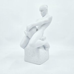 Royal Copenhagen Stjernetegnsfigur Vandmanden 