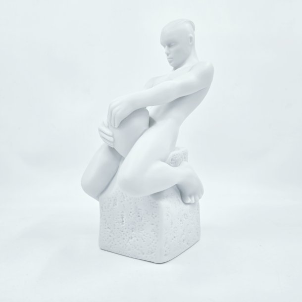 Royal Copenhagen Stjernetegnsfigur Vandmanden 